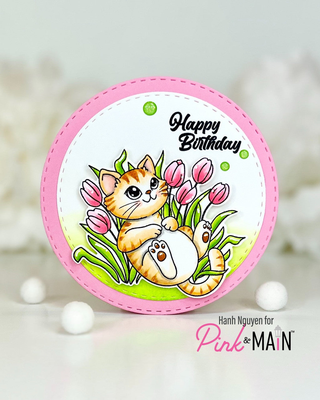 May Cat BUNDLE