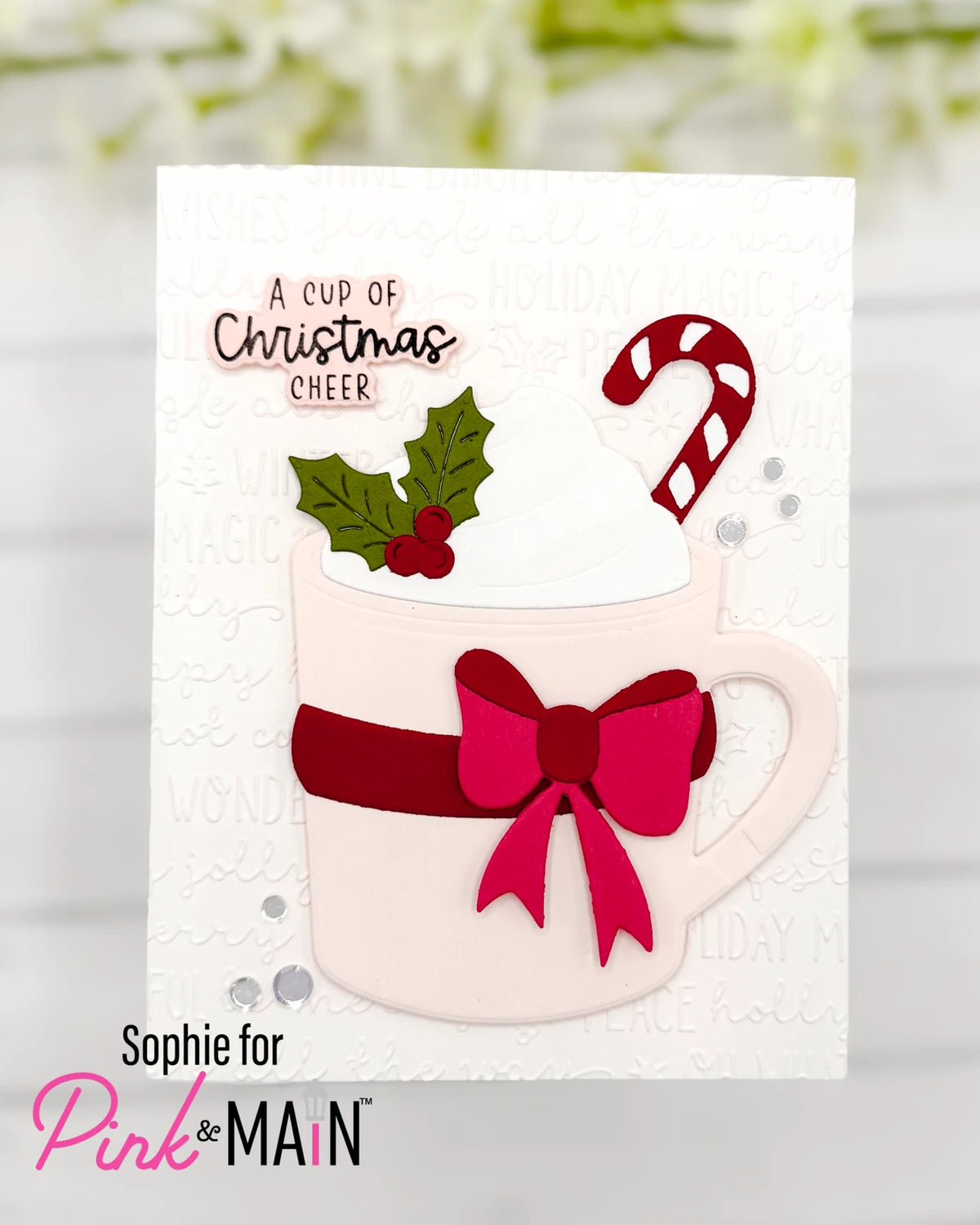 BUNDLE! Cozy Mug+Cozy Mug Add-On