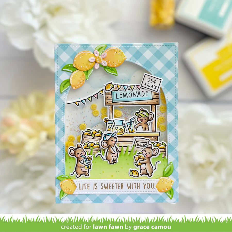 BUNDLE make lemonade!