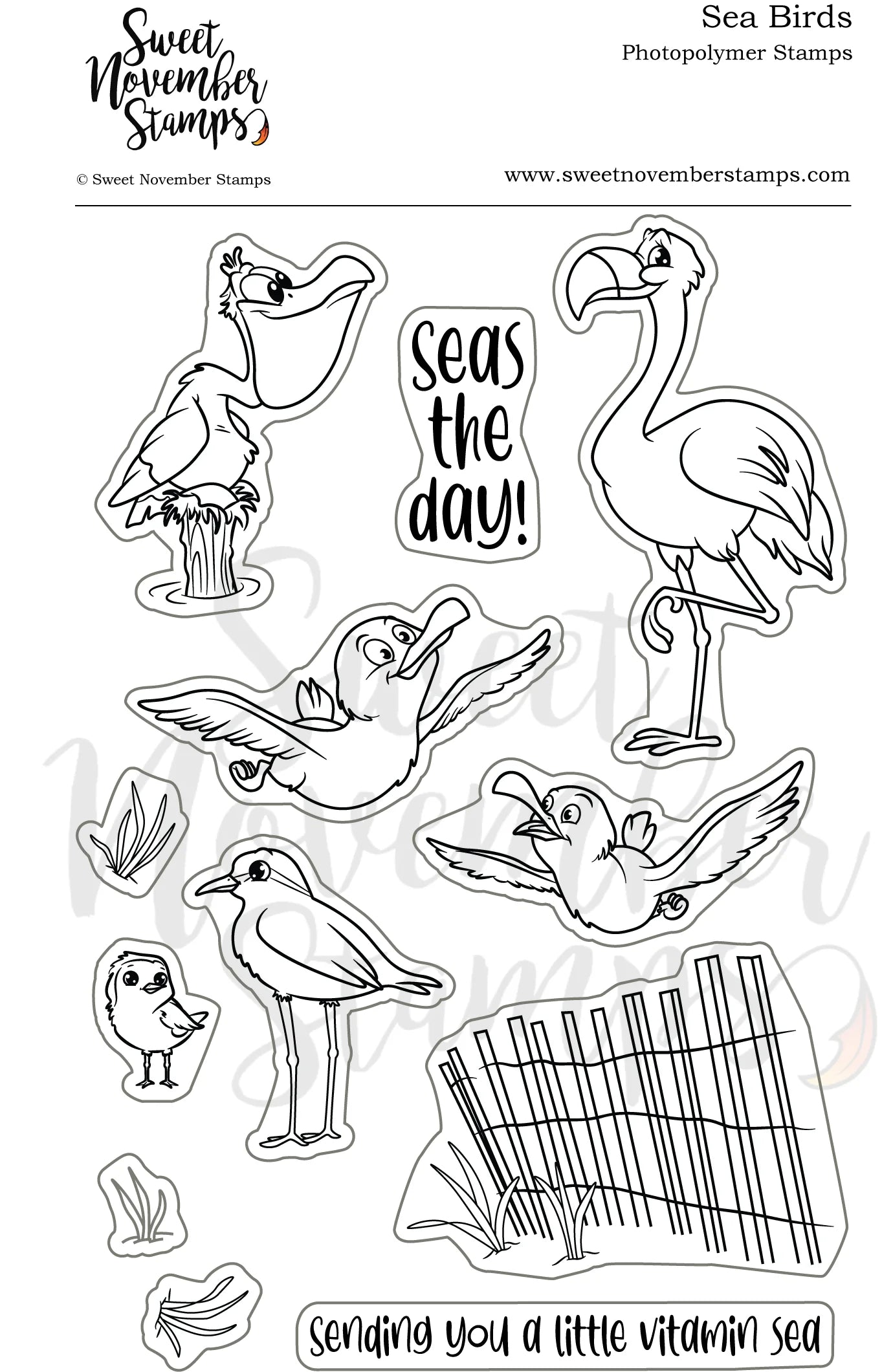 Sea Birds