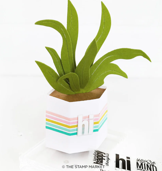 !!PRE ORDER!! Pop Up Planter Die